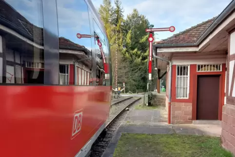 Die Wieslauterbahn, hier in Hinterweidenthal, sei für das Dahner Felsenland ein Alleinstellungsmerkmal, sagt Bürgermeister Micha