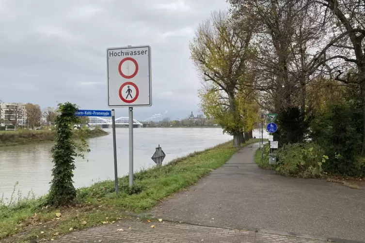 Wegen des Rhein-Hochwassers waren die Hannelore-Kohl-Promenade und der Stadtwald über den Jahreswechsel gesperrt. 