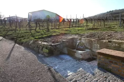 Der Brunnen am Weg zum Liebfrauenberg in Bad Bergzabern sprudelt sommers wie winters. 