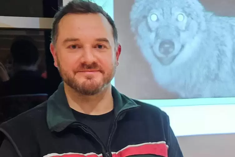 Leiter des Koordinationszentrums Luchs und Wolf (Kluwo) in Trippstadt: Julian Sandrini.