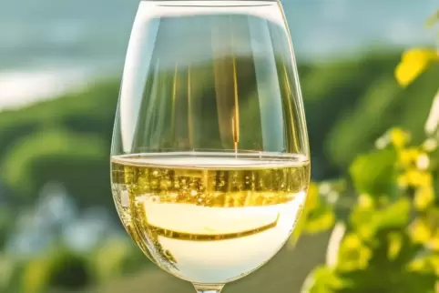 Der Falstaff Weinguide hat mehr als 4000 Weine bewertet. Das Pfälzer Weingut Knipser wurde besonders geehrt. 