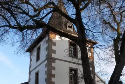 Zwei Wahrzeichen von Steinbach am Glan: der historische Glockenturm und die alte Linde.