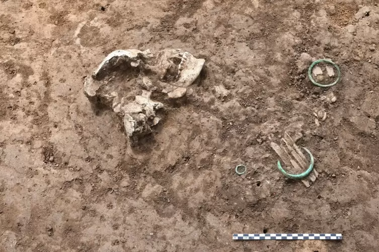 Skelett aus der Bronzezeit.