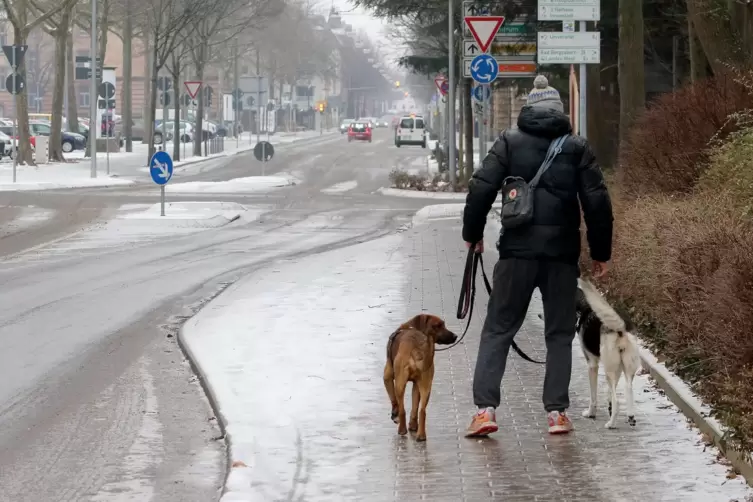 F&uuml;r manch einen wurde der Spaziergang zur Rutschpartie &ndash; etwa in Landau. 