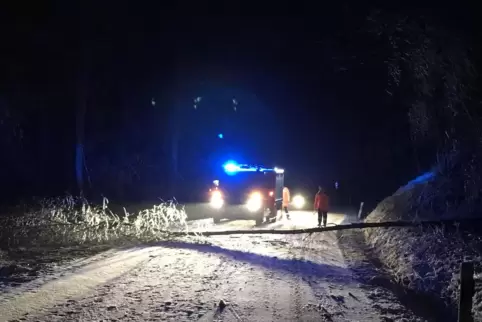 Umgestürzte Bäume musste die Feuerwehr am frühen Donnerstagmorgen von der L379 zwischen Wolfsmühle und Waldgrehweiler entfernen.