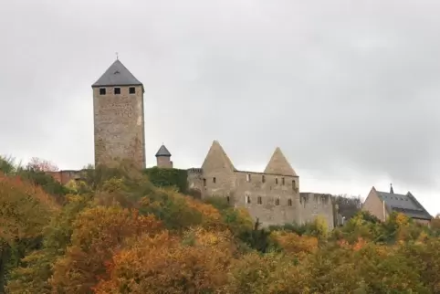 Von Burg Lichtenberg aus leitet und koordiniert Elaine Neumann mit ihren Mitarbeitern das Trafo-Projekt. 