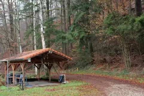 Wald in Familienbesitz: Forêt du Rauschenbourg bei Ingwiller im Regionalpark Nordvogesen.