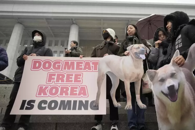 Südkorea verbietet den Verzehr von Hundefleisch. 