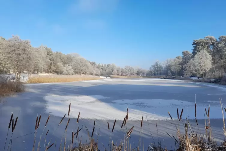 Der Miesenbacher Seewog ist zugefroren.