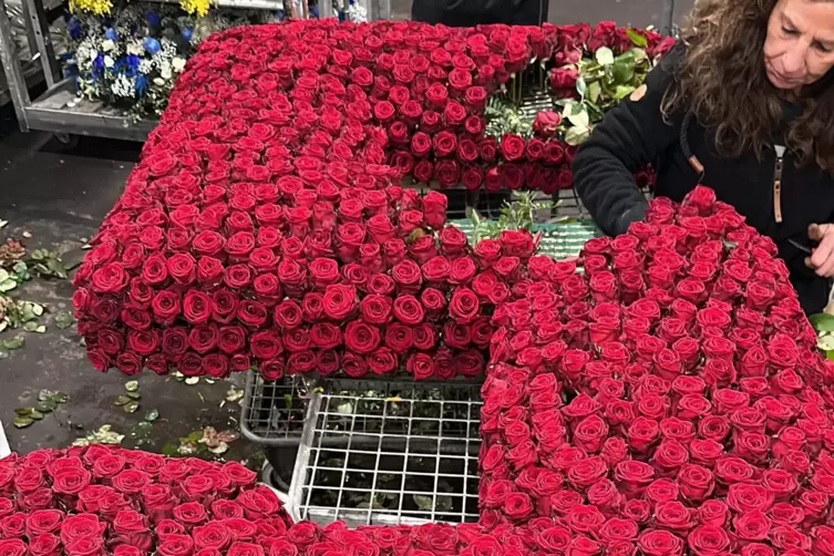 Innerhalb von wenigen Tagen wurde der Blumenschmuck fertiggestellt. Die Rosen-5 konnte nur mit dem Gabelstabler transportiert we