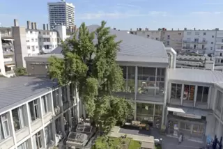 Im Hinterhof ein Ginkgo-Baum, bald „grüne Begegnungsstätte“: Die Kunstvereinsresidenz Bürgermeister-Reichert-Haus wird saniert. 