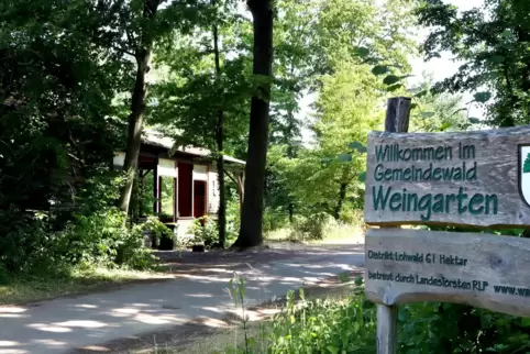Die Grillhütte bei Weingarten. In der Nähe kam im Sommer 2023 ein junger Mann zu Tode.