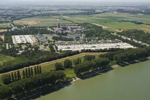 Die BASF-Kläranlage bei Mörsch. 