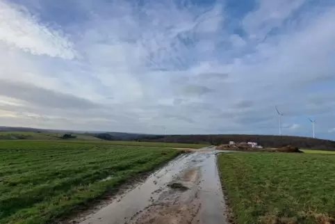 Auf der landwirtschaftlichen Fläche nahe des Wirtschaftsweges bei der Kröpper Höhstraße soll ein 25 Hektar großer Solarpark ents