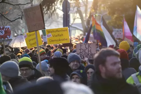 Vielerorts gehen Menschen gegen Rechtsextremismus und für Demokratie auf die Straßen - hier vor einigen Tagen in Heidelberg.