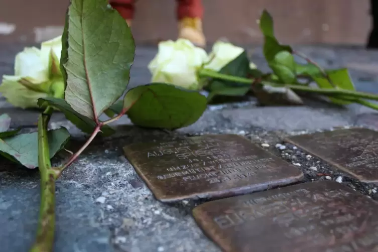 Rosen an den Stolpersteinen. 