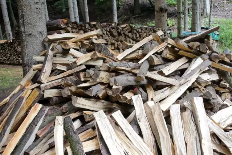 Der Gemeinderat kritisierte, dass im Kröpper Wald zu wenig Brennholz für die Bürger zur Verfügung gestellt wird. 