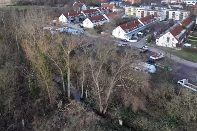 Der Birnbach im Süden bedroht bei Hochwasser das dortige Stadtviertel. 