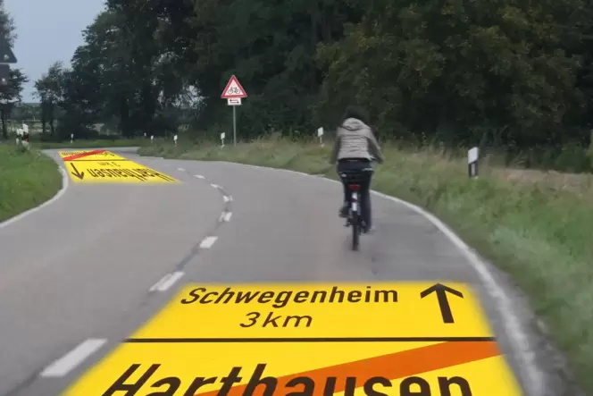 Nicht empfohlen: Die Landesstraße 537 zwischen Harthausen und Schwegenheim ist teilweise schwer einsehbar, sodass es zu gefährli