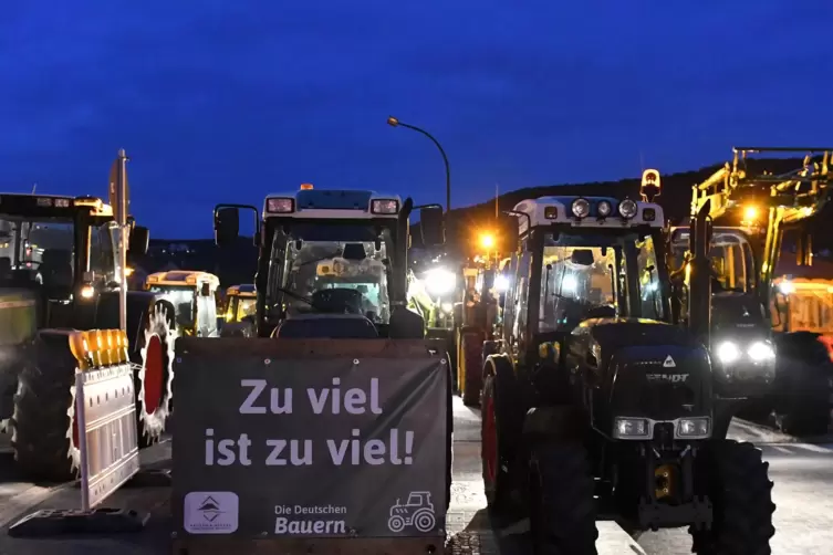 Die Bauern protestierten am 8. Januar auch in Bad Dürkheim. 