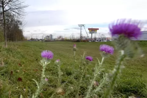 Geschützte Landschaft: der sogenannte Affengraben.