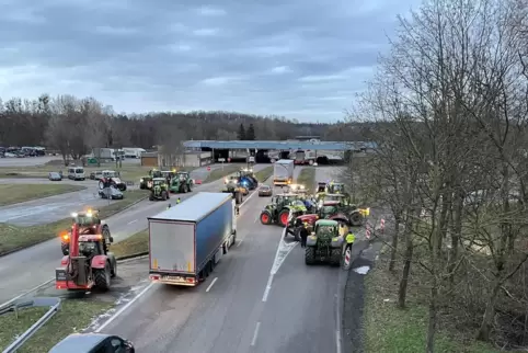 Bauern aus der Südpfalz blockieren in Bienwald den Grenzübergang nach Frankreich.