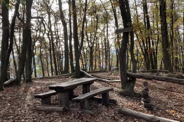 Schöne Picknickplätze laden zu einer Rast mitten im Pfälzerwald ein. 
