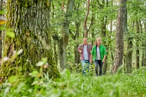 Beliebt: Wandermarathon am Donnersberg. Die Anmeldefrist startet am 6. 2.