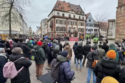 Am 13. Januar gab es bereits eine Demo für die Demokratie in Landau. Die für Sonntag geplante soll größer werden. 