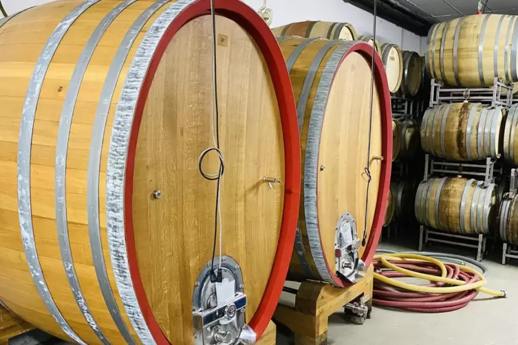Rund 15 verschiedene Sorten Wein werden im Weingut Meier hergestellt.