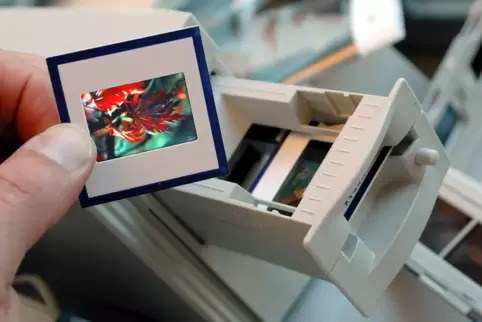 Wenn Dias oder Negative digitalisiert werden sollen, stoßen Flachbettscanner oft an ihre Grenzen.