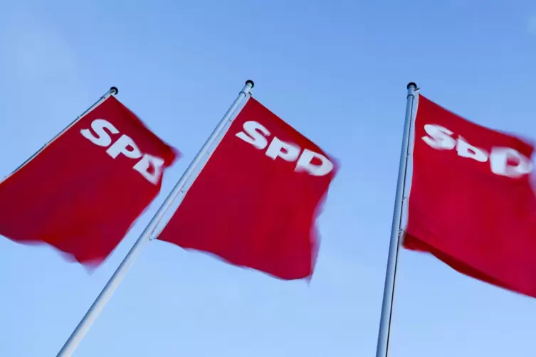 Zehn Gemeinderatskandidaten halten in Großkarlbach die sozialdemokratische Fahne hoch. 