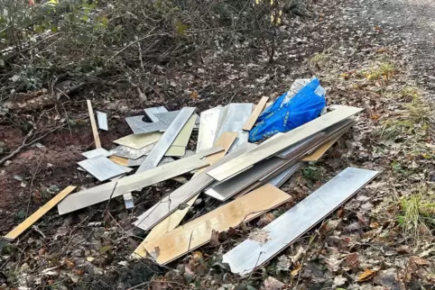 Ärgerlich: Wild abgelagerter Müll am Rande eines Waldwegs Höhe Ochsenbusch. 