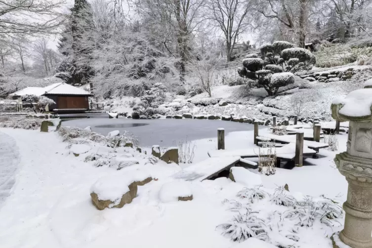 Der Japanische Garten mit Winterüberzug.