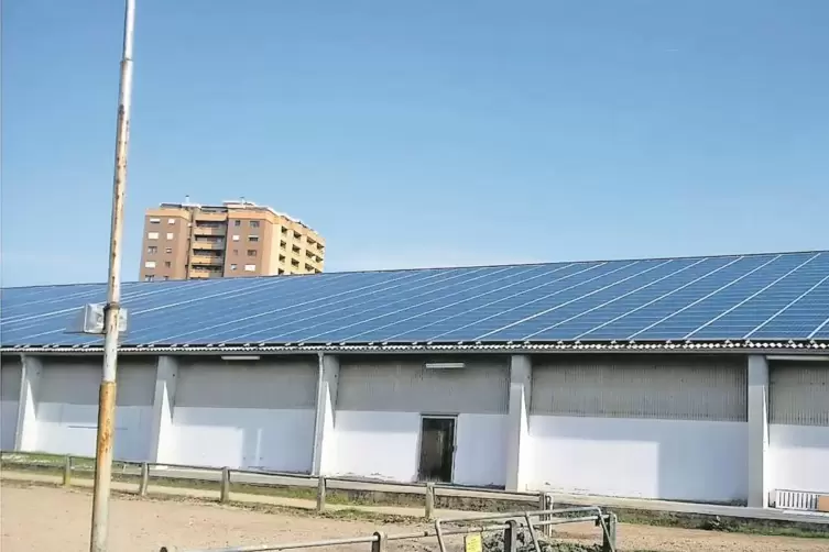 Das erste Projekt: Die Fotovoltaikanlage auf dem Dach der Reithalle in Neuhofen hat die Neue Energie Neuhofen aus der Insolvenzm