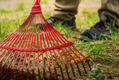 Bei über 70 Prozent des städtischen Grüns soll es keine „werterhaltende Pflege“ geben.