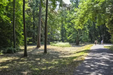 Der Waldpark im Lindenhof ist nicht nur bei den Anwohnern beliebt.
