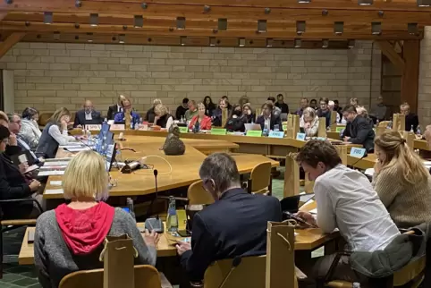 Auch Frauen aus dem Neustadter Stadtrat waren beim Argumentationstraining dabei. 