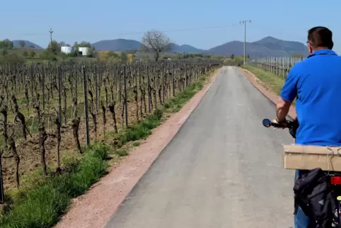 Nicht alle Radwege sind so gut ausgebaut wie dieser zwischen Landau und Arzheim. 