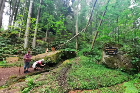 Wandern auf dem Hilster Reihpfad im Bereich der Hilstbach-Quelle. 