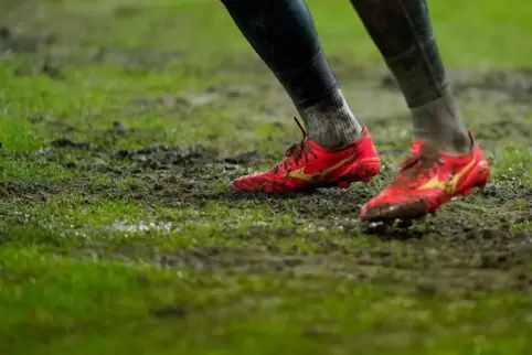 Der nasse Rasen machte der Pokalpartie gegen Mönchengladbach den Garaus. Nun soll das Grün saniert werden. 