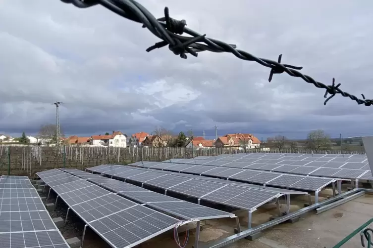 Die neue Fotovoltaikanlage am Rand von Nußdorf. 