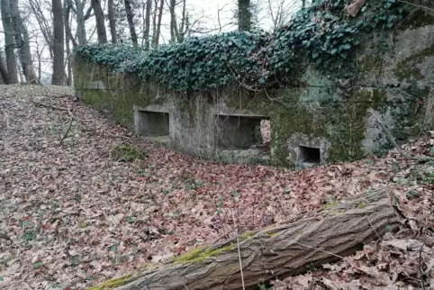Frühere Gefechtsstellung: An der Ludwigsmühle bei Lustadt gibt es noch Reste. 