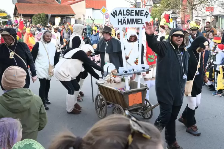 Ahoi: die Walsemer H&auml;mmel. 