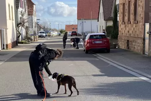 Ein Spürhund soll die Tatwaffe erschnüffeln. Striche auf der Straße kennzeichnen den Tatort. 