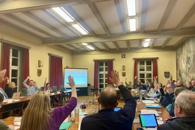 Der Annweilerer Stadtrat will der AfD den Hohenstaufensaal entziehen. Der Annweilerer Stadtrat will der AfD den Hohenstaufensaal entziehen.