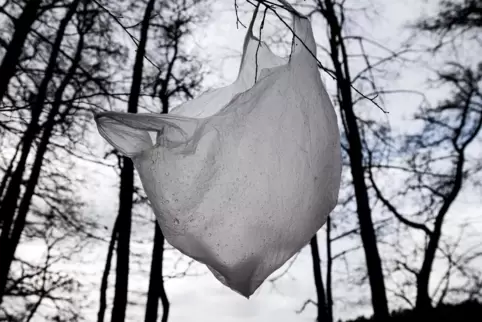Diese Plastiktüte landete im Wald, nicht auf der Spesenabrechnung. Auch nicht gut.