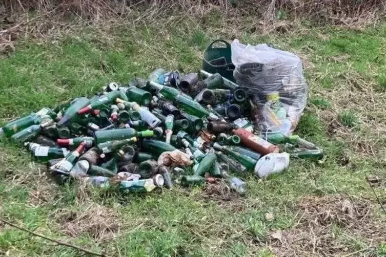 Flaschenlastig: wilder Müll in der Nähe des Rinkenbergerhofs in Speyer. 