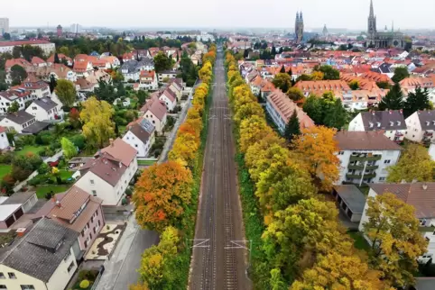 Halbseitig wegen Gehölzarbeiten gesperrt: Hirschstraße (rechts der Bahnlinie).