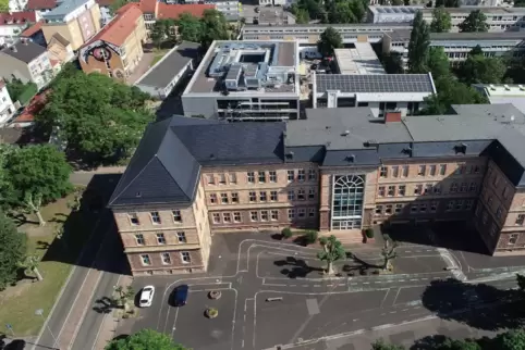 Gerade in den heißen Sommermonaten fehlt es auf dem Gelände des Pfalzinstituts an schattigen Plätzen.